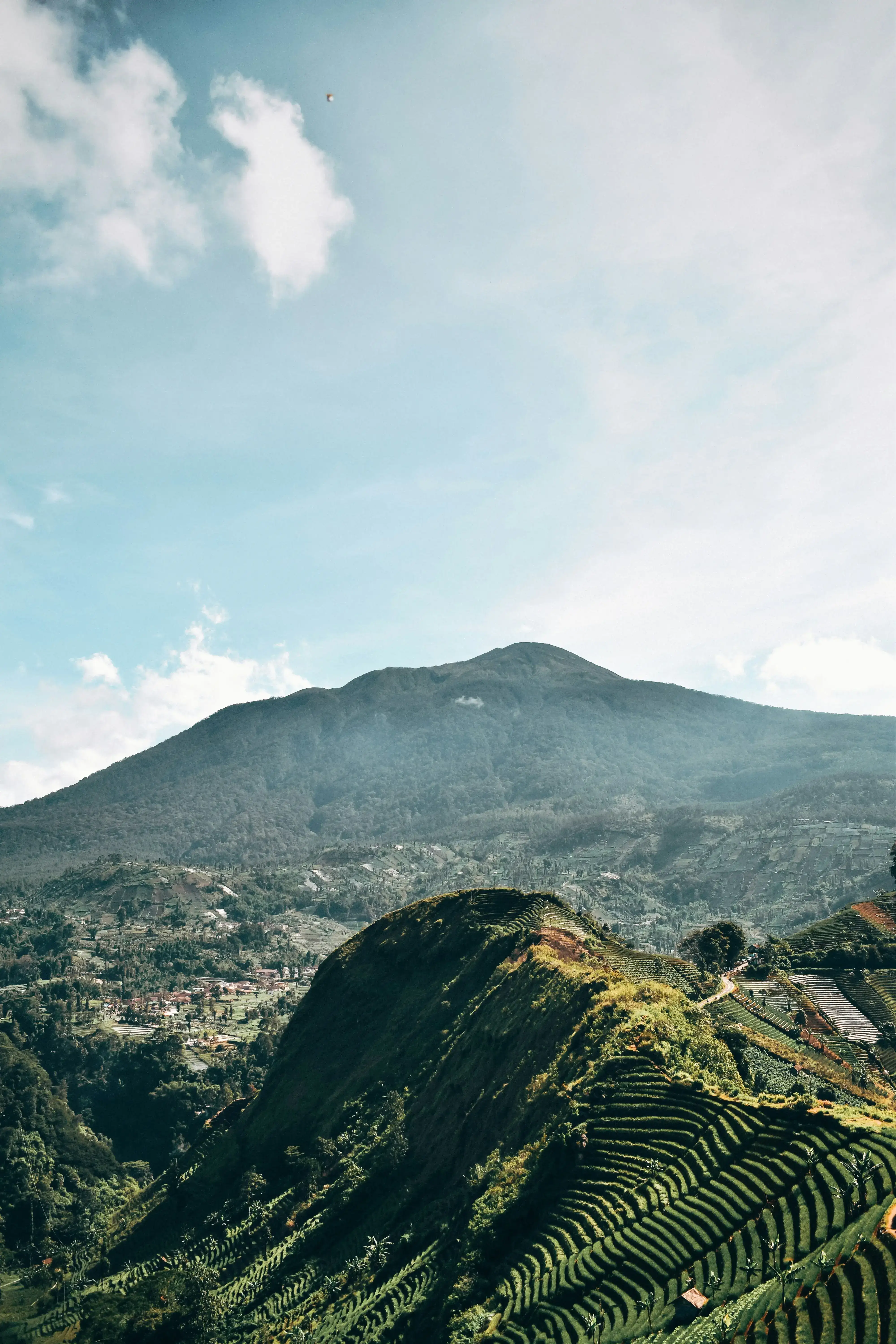 terasering pangaweuyan majalengka